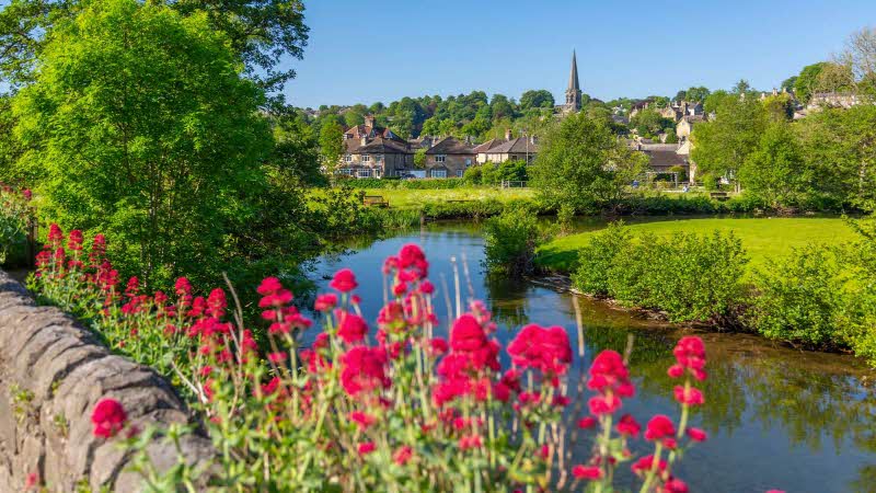 View from a stone bridge of the River Wye and Bakewell Church with bright pink flowers in the foreground