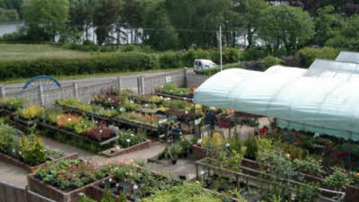 Thornton Nurseries, LE67 1AN