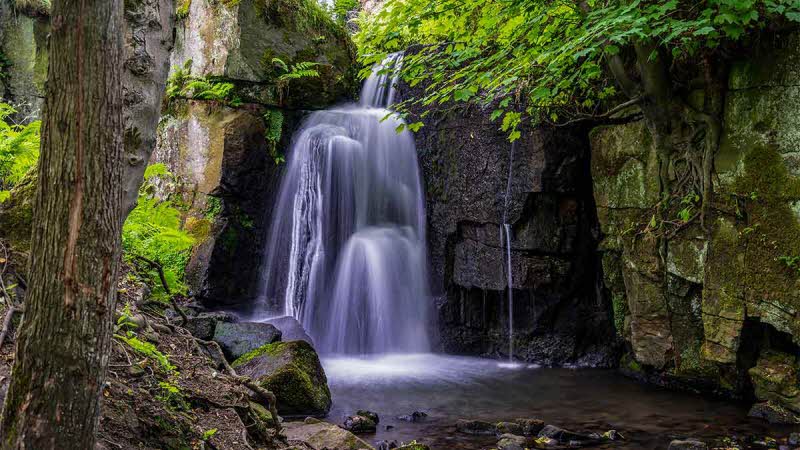 Looking a the water flowing down Lumsdale Waterfall through the trees bordered by high rock walls