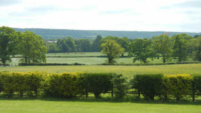 Gosford Park, EX11 1NA, CL owner, Ottery St Mary, Devon