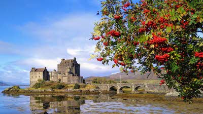Old stone walls of Eilean Donan Castle seen across the water with a bush covered in bright red berries in the foreground