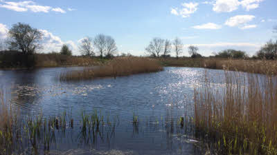 Severn House Farm, GL13 9QY, Dursley, Gloucestershire