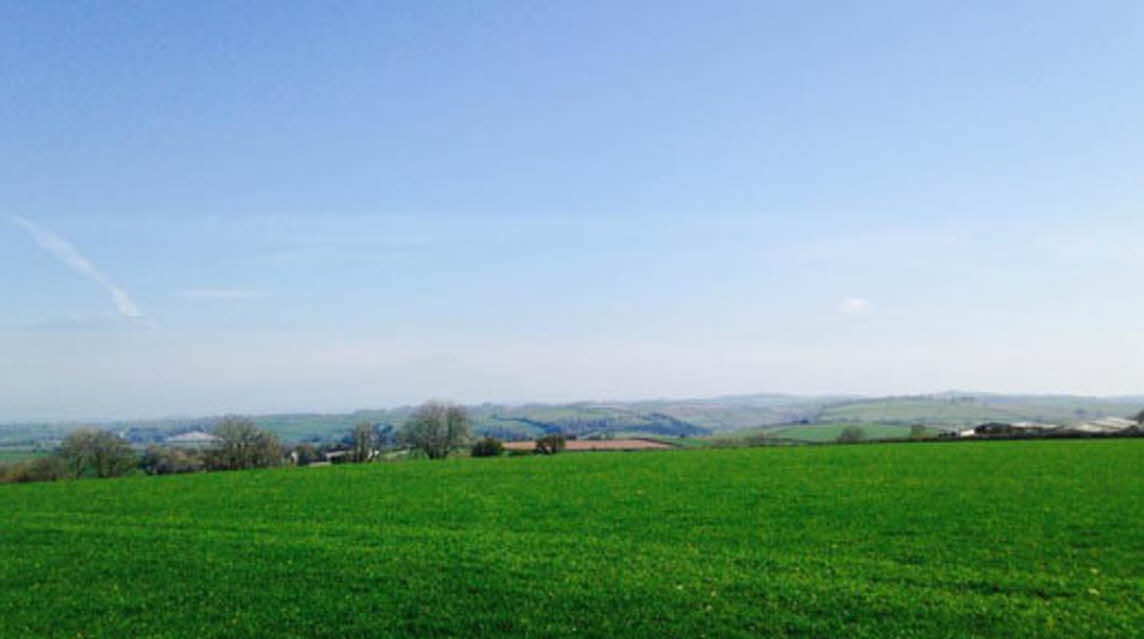 Boreston Farm, TQ9 7LD, Totnes, Devon