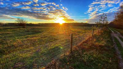 Sunset over the fields in East Harling