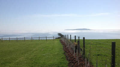 Isle View Camping, DT3 6EG, CL