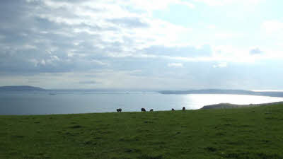 Isle View Camping, DT3 6EG, CL