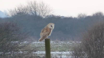 Cliff House Farm, HU11 4UN, CL