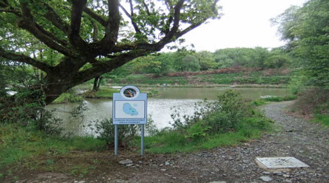 Ashbury Caravan Park, EX20 4NE