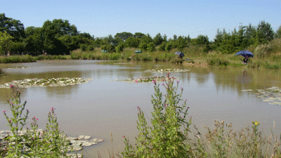 Mayfields Fishery, PE24 4PF