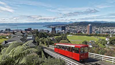 NZ Tour