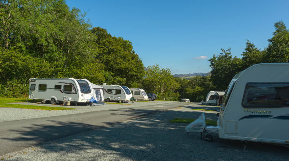 Coed-Y-Llwyn Club Campsite | The Caravan Club