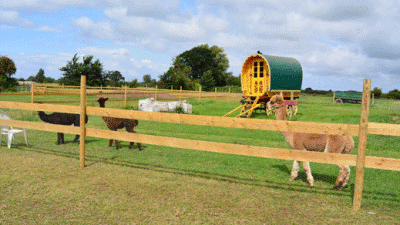 Manor Farm Caravan Park, TA5 2BB, CL