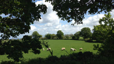 Plas Lligwy, LL72 8NH, Benllech, Anglesey, Wales