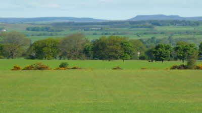 Bolam West Houses Farm, NE61 4DZ, Morpeth, Northumberland