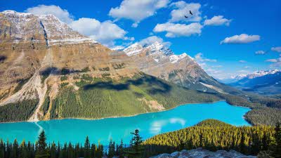 White clouds drift across a deep blue sky above the turquoise waters of Lake Peyto in Banff National Park, Canada