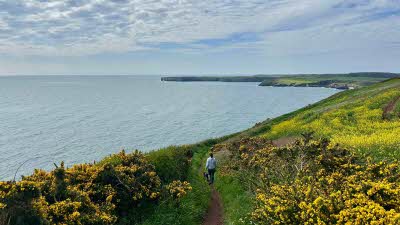 woman and dog walking along a gorse lined path with the blue waters of the bay below
