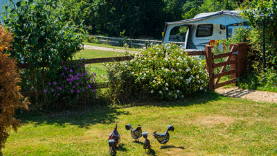 Alverstone Ponds, PO36 0HA