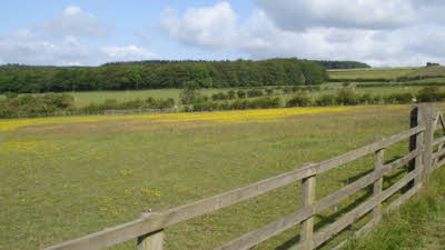Old Bridge End, DH7 6TT, Durham, County Durham