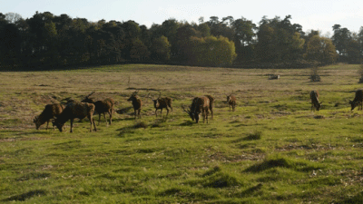 Bradgate Caravan Site, LE7 7HQ, Leicester, Leicestershire