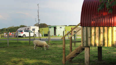 Auchenwynd, KA19 7SB, CL