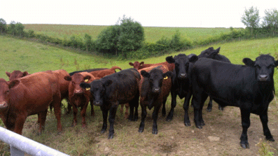 Chenson Farm, EX18 7LF, Chulmleigh, Devon