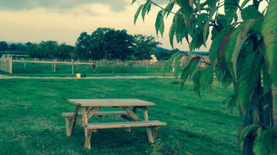 Wollerton Meadows, TF9 3NY, CL