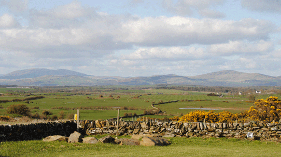 Burgess Outon Farm, DG8 8EZ, Newton Stewart, Dumfries & Galloway, Scotland