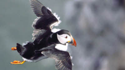 High Easton Farm, YO16 4YD