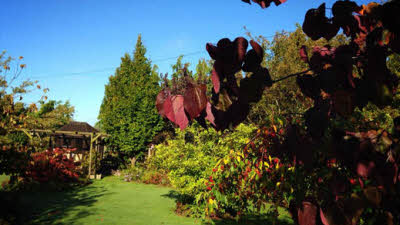 Wollerton Meadows, TF9 3NY, CL