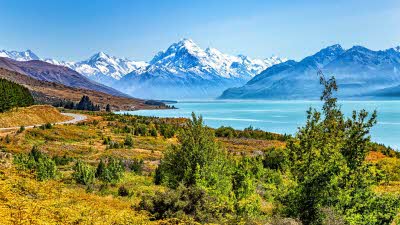Looking across the grass and trees leading to Lake Pukaki with the high snow covered mountains in the distance