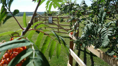 Dovesite CL, DE73 8HS, CL