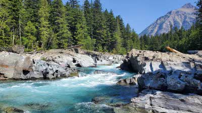 River flowing between rocky edges lined with tall trees with a mountain off in the distance at Kootenay National Park