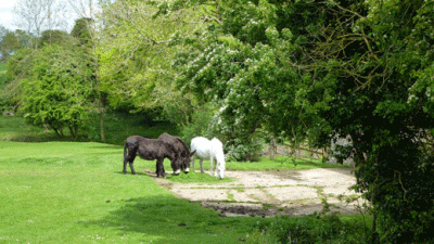 Hempstead Hall, NR25 6TN, Holt, Norfolk