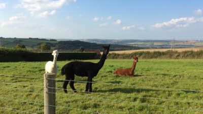 Collacott Farm, EX31 3QF, CL