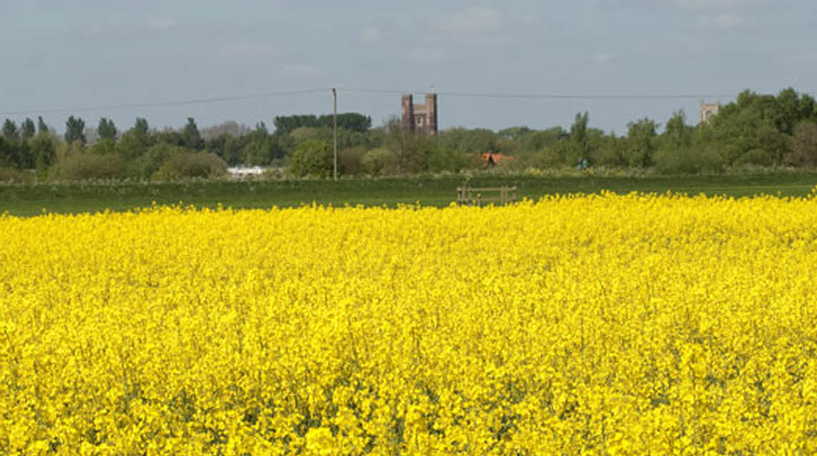 Gralyn Barn, PE11 4XD, Spalding, Lincolnshire