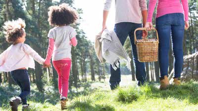 family of four on a picnic in summer