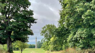 Cloudy sky over the green trees and grass of the Bathurst Estate