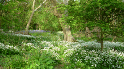 Meadow Lakes Caravan Site, PO30 4PL