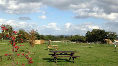 Wollerton Meadows, TF9 3NY, CL