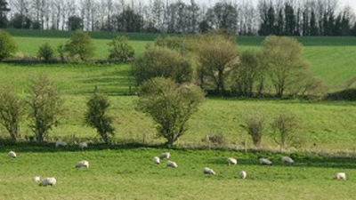 Andersey Farm, OX12 8SG
