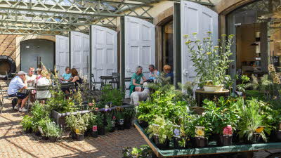 Holkham Estate Courtyard Café, Courtyard, Cafe, Outdoors, Dining