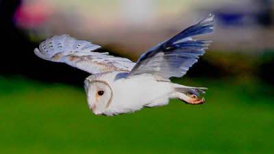 High Breame, YO15 1AA, CL