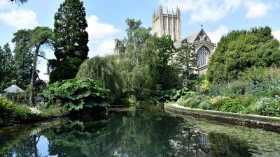 Lush green trees reflecting on the water with the Cathedral rising up behind the trees