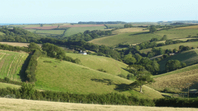 Higher Norton Farm, TQ9 7RL