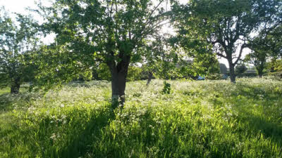 Hucks Barn Farm, SY8 4AA, CL