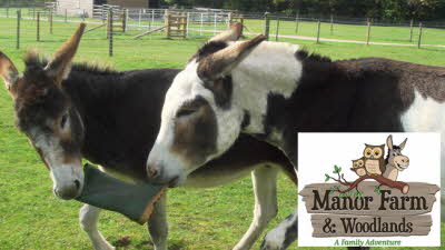 Offer image for: Manor Farm Park & Woodlands - One free child when accompanied by one full paying adult