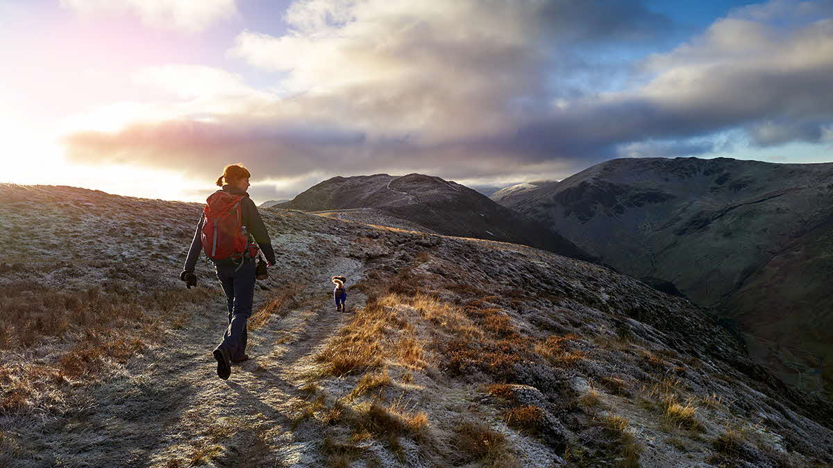 Photo of a woman and her dog hiking up a mountain in the winter