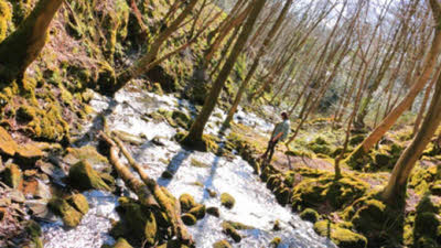 Tax Farm, DE4 5LQ, Matlock, Derbyshire