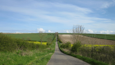 Pear Tree House, YO17 8TQ