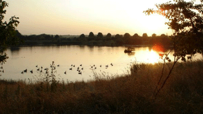 Airview Farm, BH24 3PR